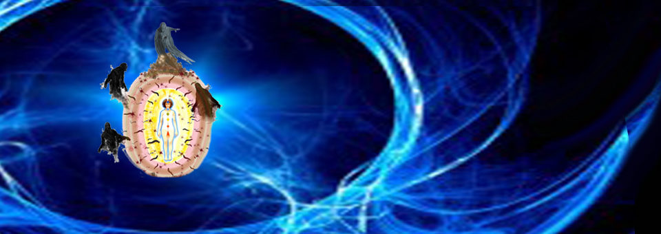 Parasitos Astrales